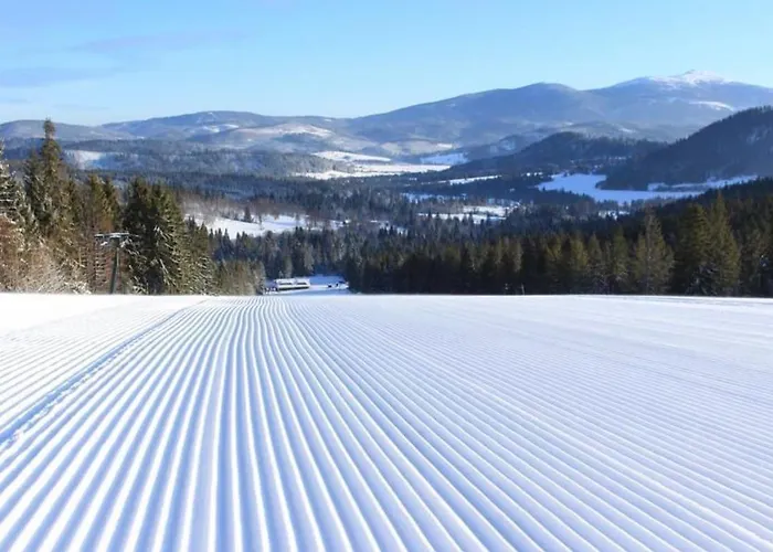 Διαμέρισμα Apartamenty Jelesnia